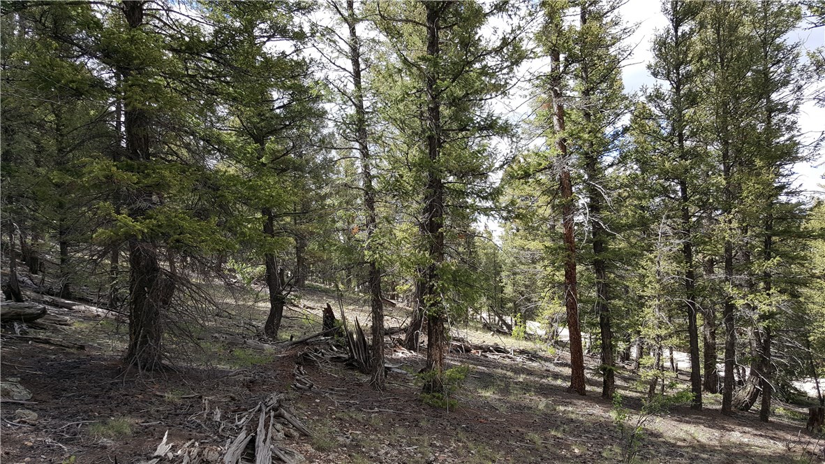 1575 Redhill Road Fairplay, CO 80440 - Photo 23 of 35 Gallery Image 23