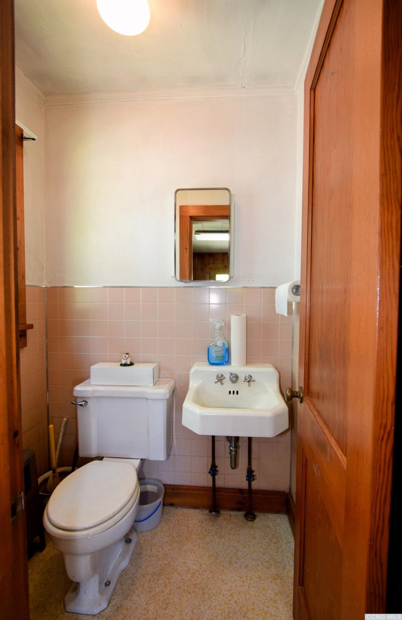 597 Main Street Cairo, NY 12413 - Photo 8 of 23 a bathroom with a toilet a sink and a mirror