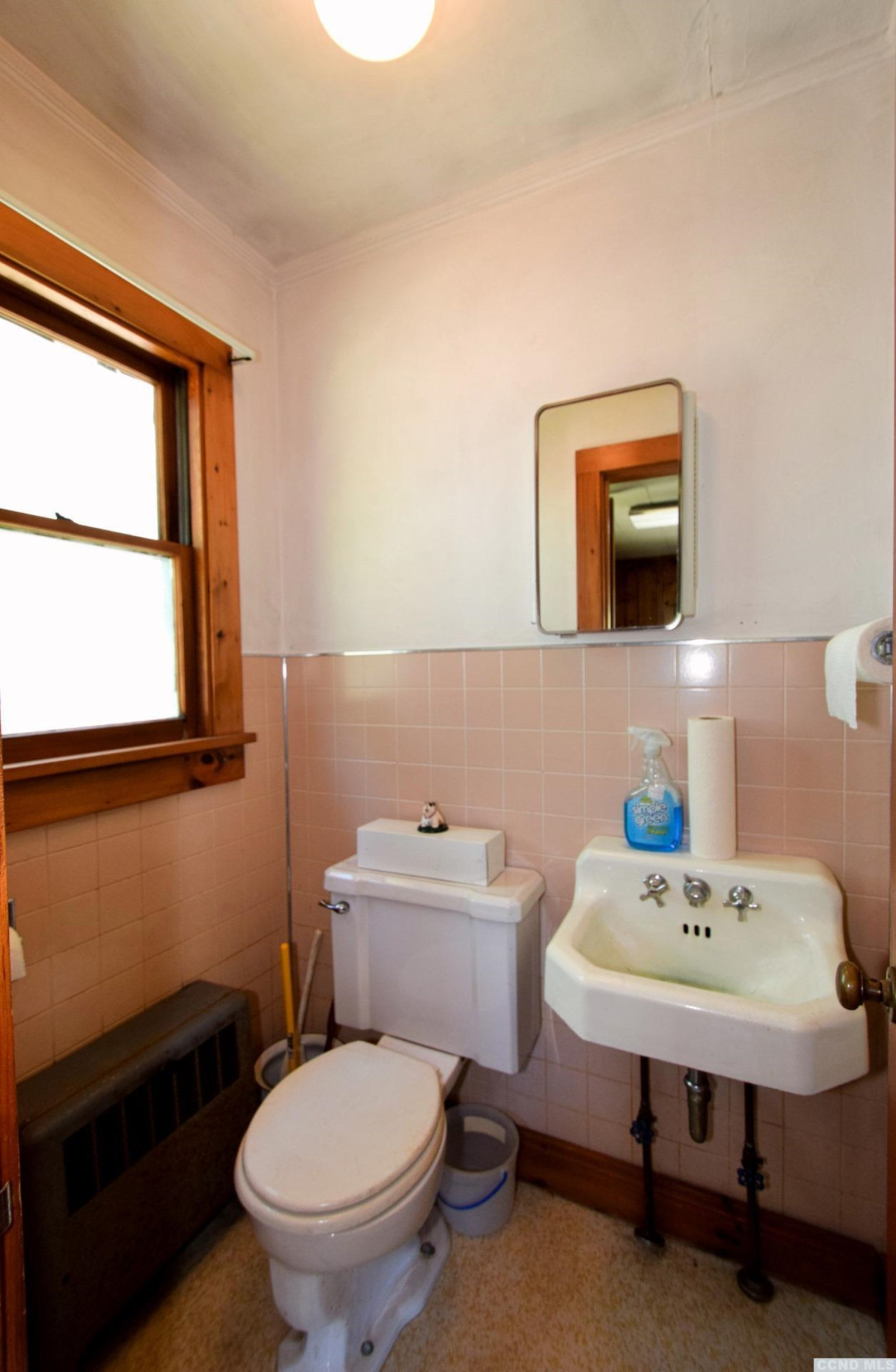 597 Main Street Cairo, NY 12413 - Photo 9 of 23 a bathroom with a sink a toilet and mirror