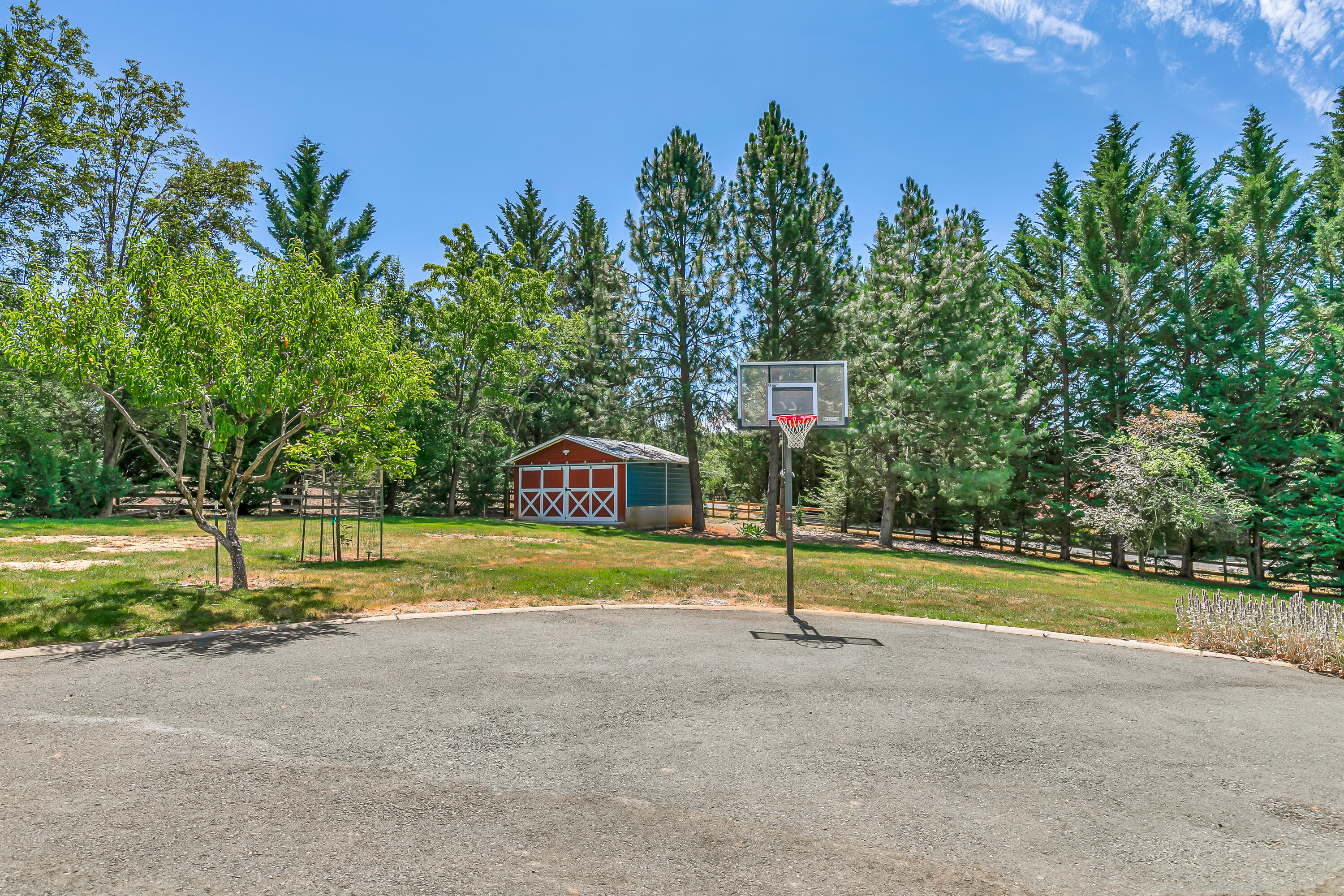 550 Pair A Dice Ranch Road Jacksonville, OR 97530 - Photo 57 of 83 9R9A9252