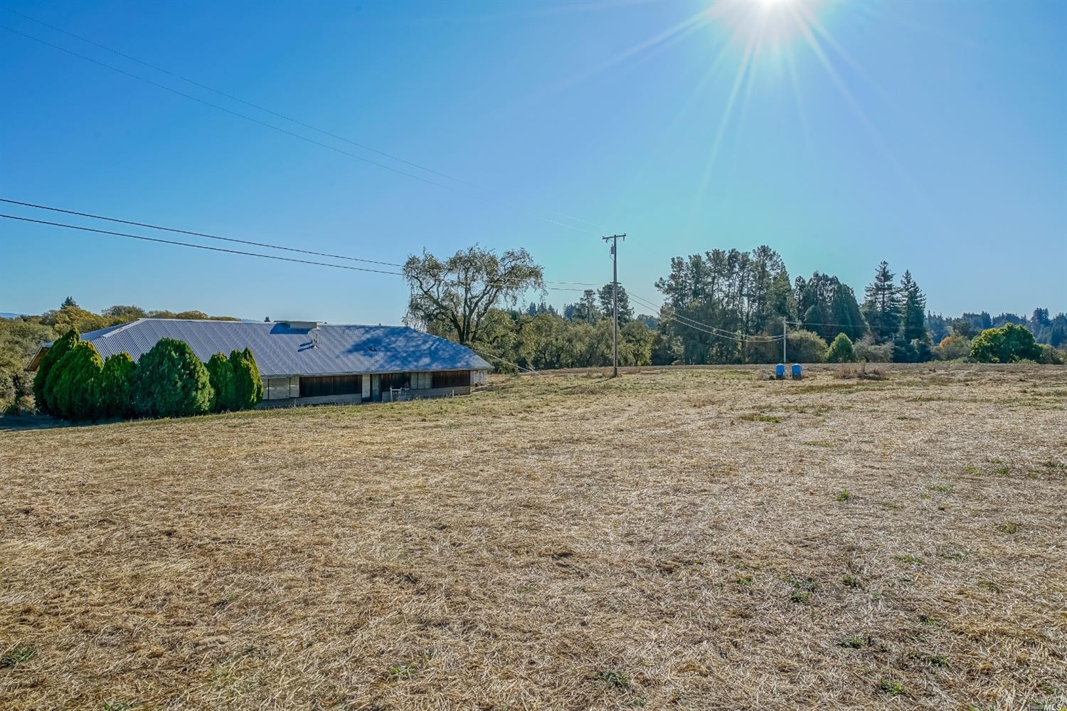 a view of a field with an trees