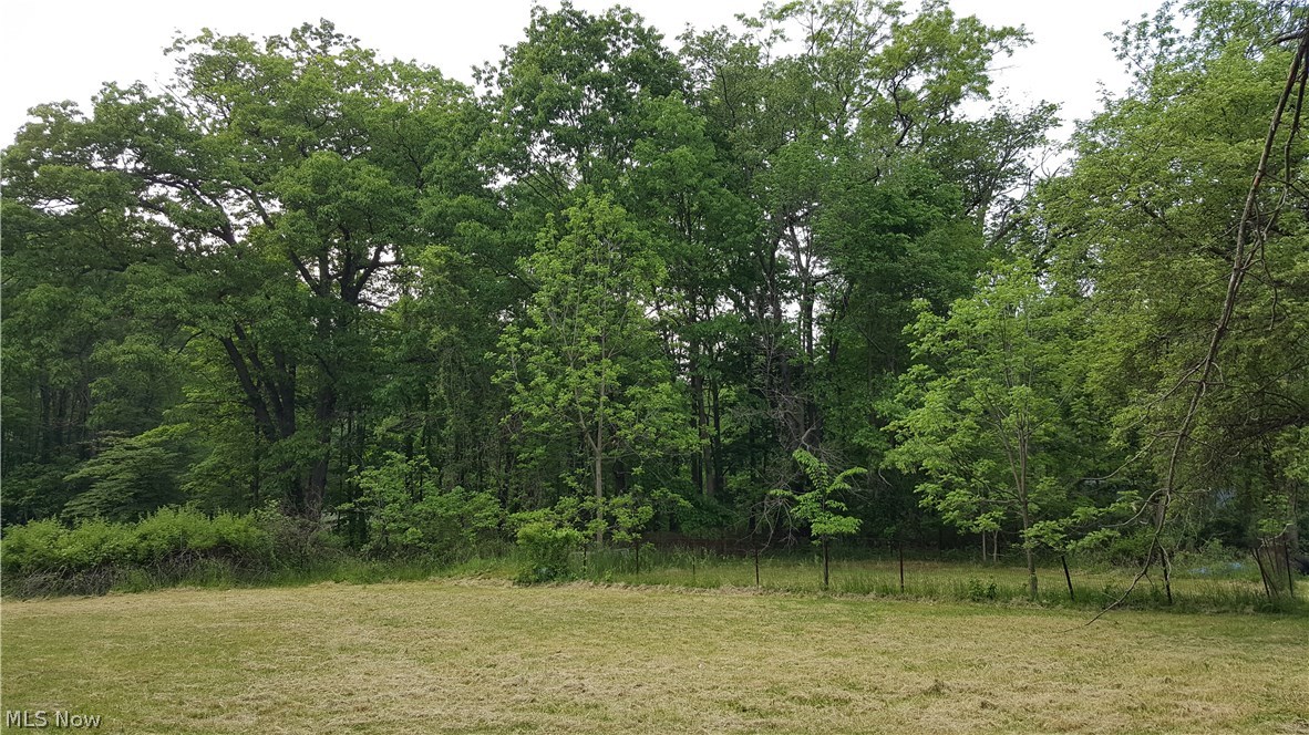 6770 Morley Road Painesville, OH 44077 - Photo 13 of 16 Gallery Image 13