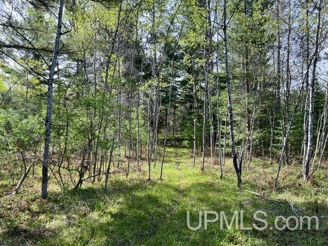 T-wi Wi 54156 Road Pembine, WI 54156 - Photo 7 of 17