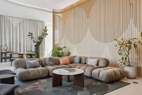 a living room with furniture and a potted plant