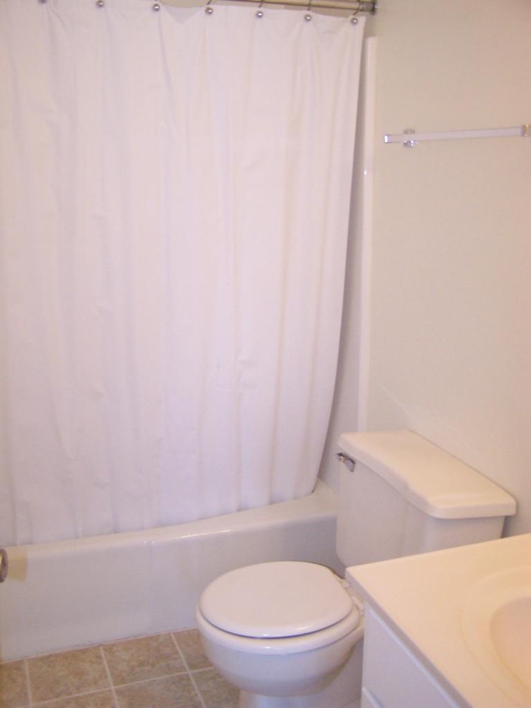 305 Loudon Road, Unit 633 Blacksburg, VA 24060 - Photo 7 of 7 Bathroom