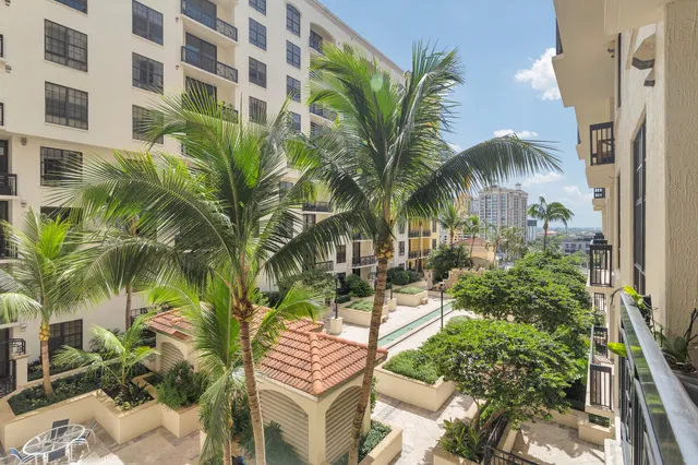 a view of a palm plant in front of a building