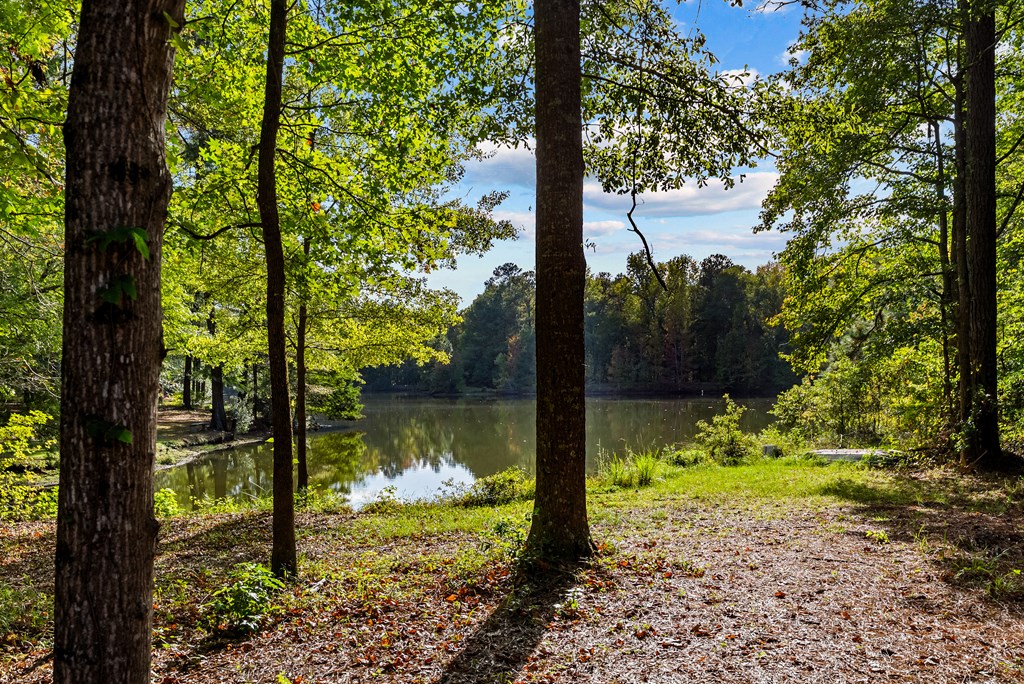 7023 Cartledge Road Box Springs, GA 31801 - Photo 3 of 44 Lake as viewed from the pool