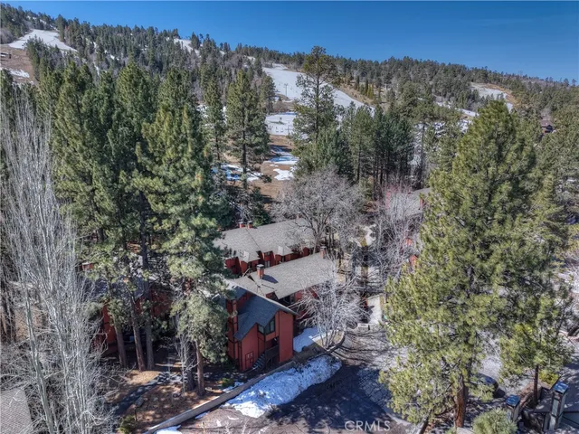 $624,900 | 41935 Switzerland Drive, Unit 100, Big Bear Lake, CA 92315