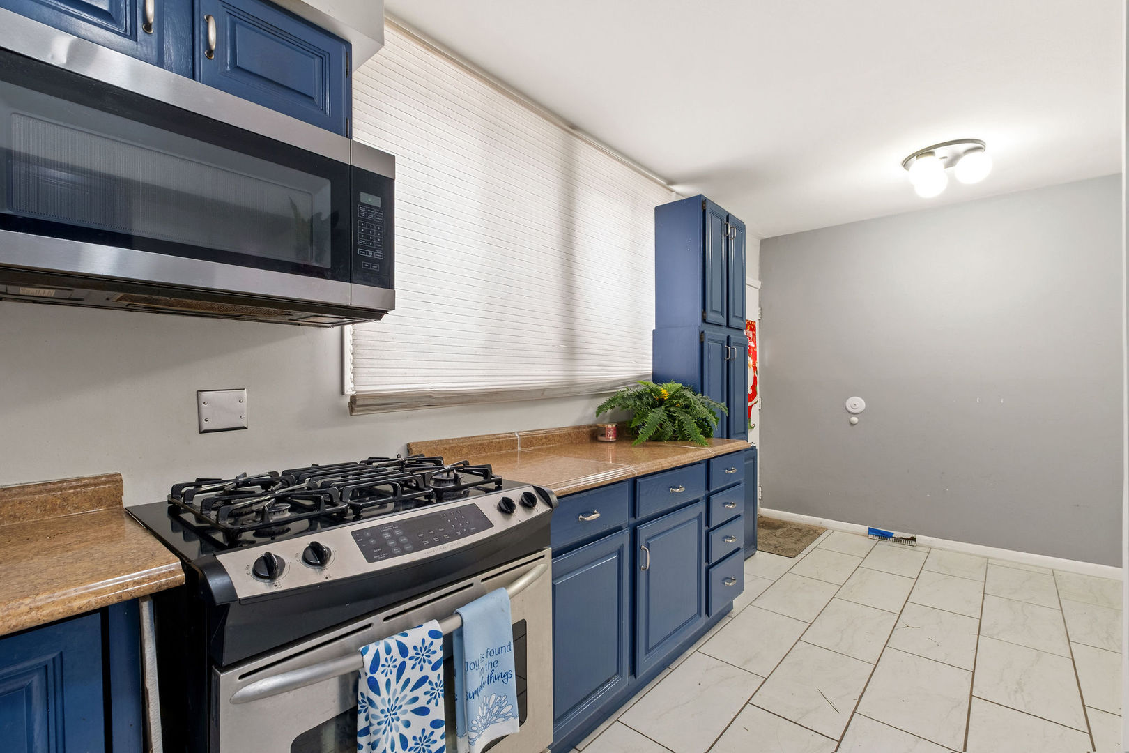 1578 Woodland Avenue, Unit D Des Plaines, IL 60016 - Photo 5 of 17 a kitchen with a stove and a microwave