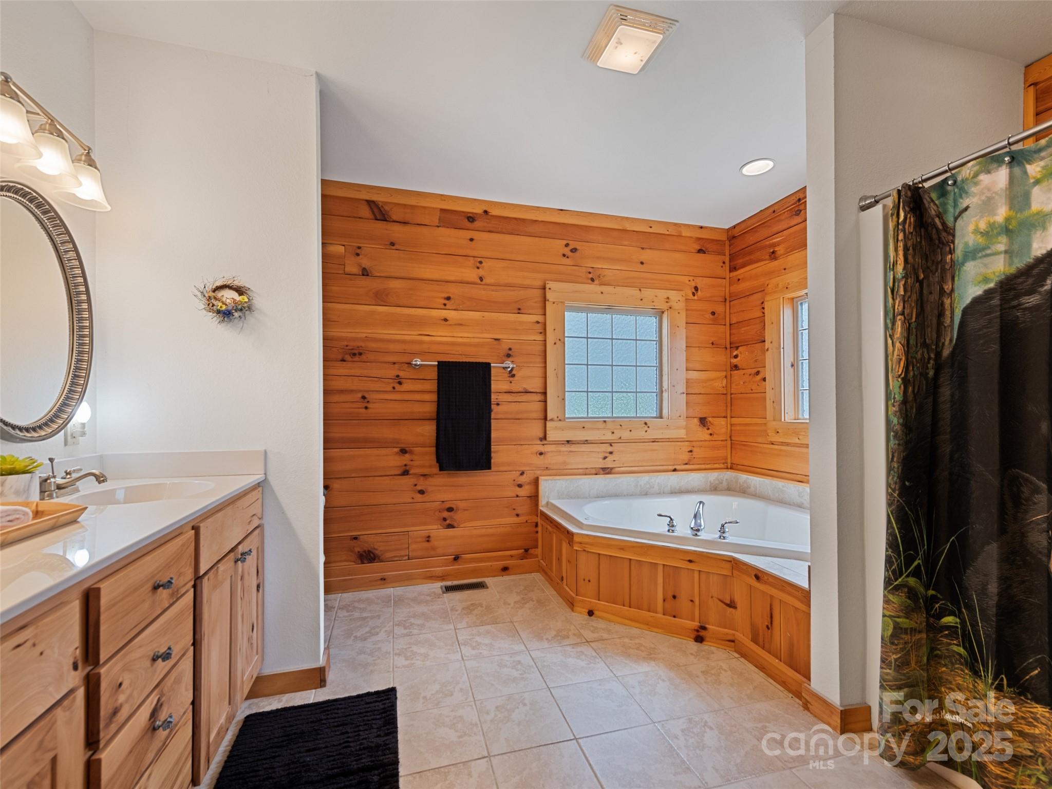432 Raccoon Point Waynesville, NC 28786 - Photo 20 of 48 a bathroom with a tub sink and mirror
