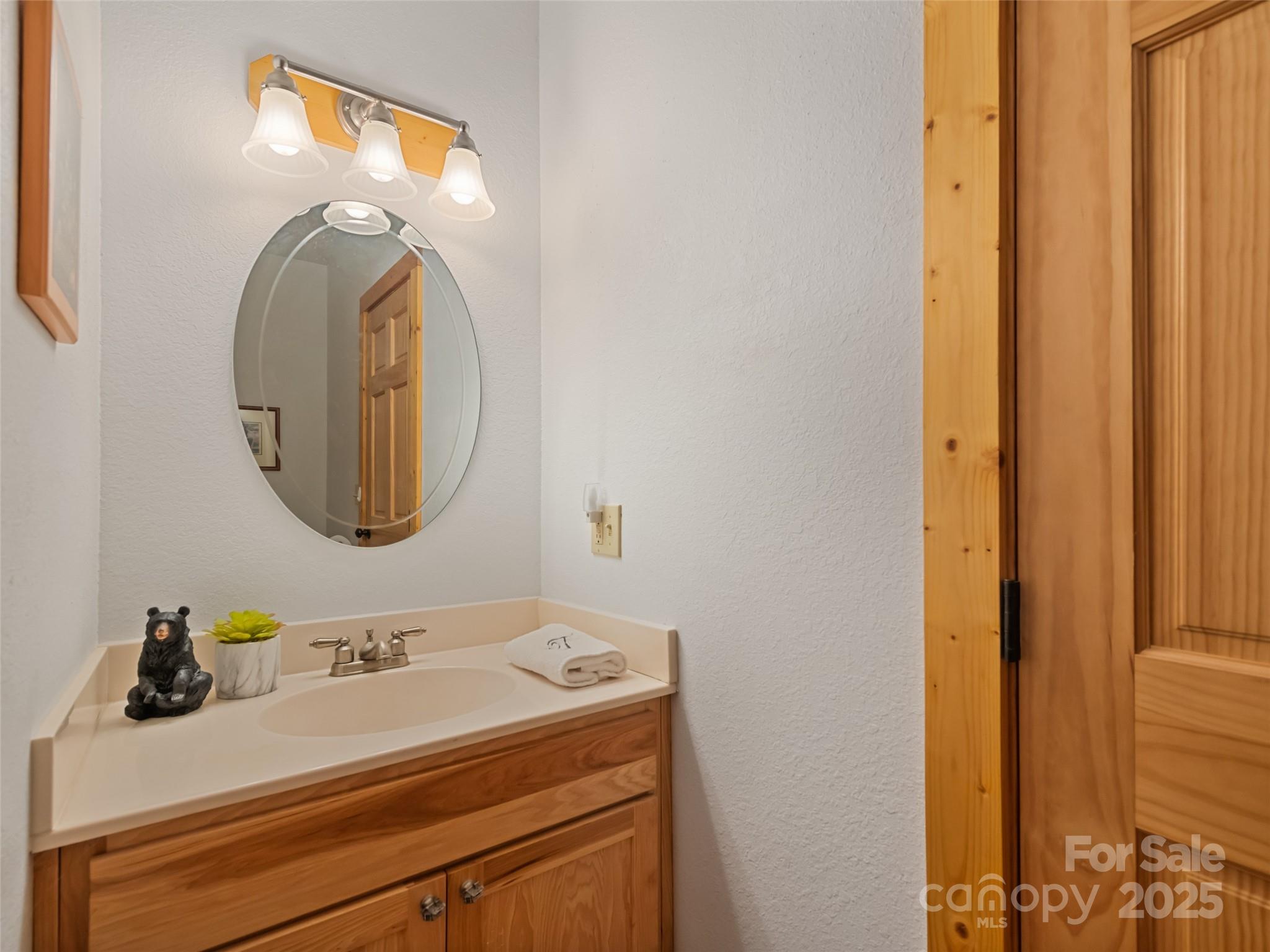 432 Raccoon Point Waynesville, NC 28786 - Photo 21 of 48 a bathroom with a sink and a mirror