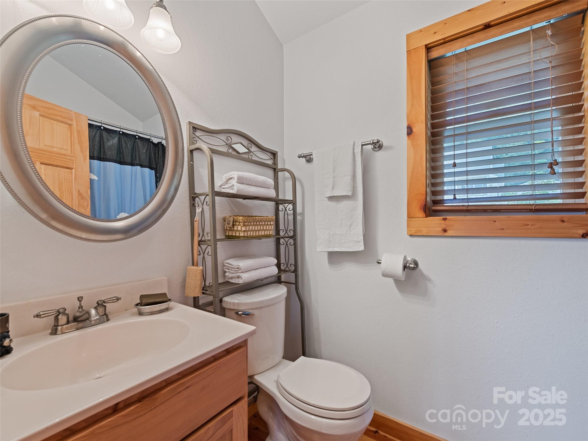 432 Raccoon Point Waynesville, NC 28786 - Photo 28 of 48 a bathroom with a sink a mirror a toilet and a window