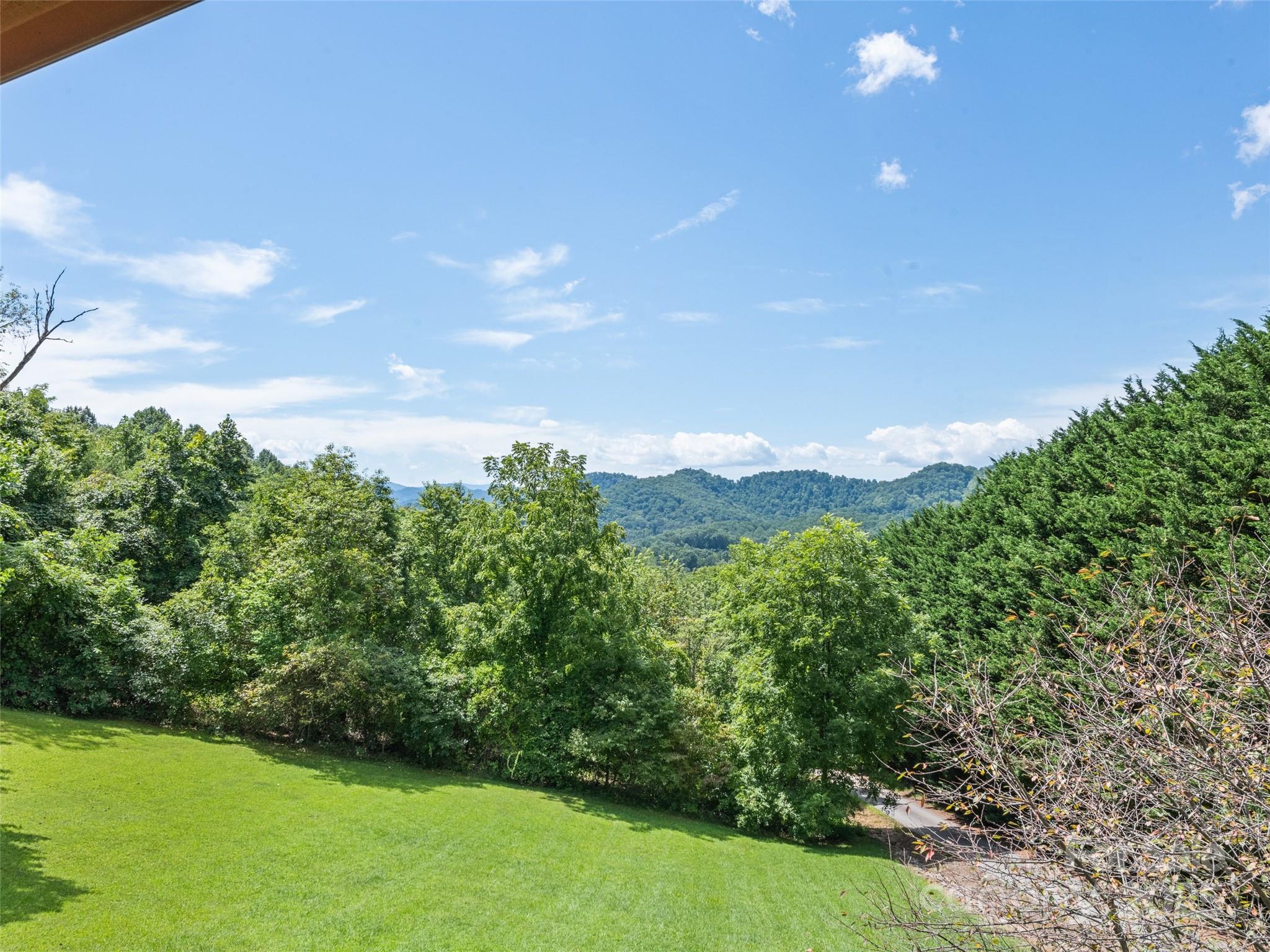 432 Raccoon Point Waynesville, NC 28786 - Photo 45 of 48 a view of a green field with lots of bushes