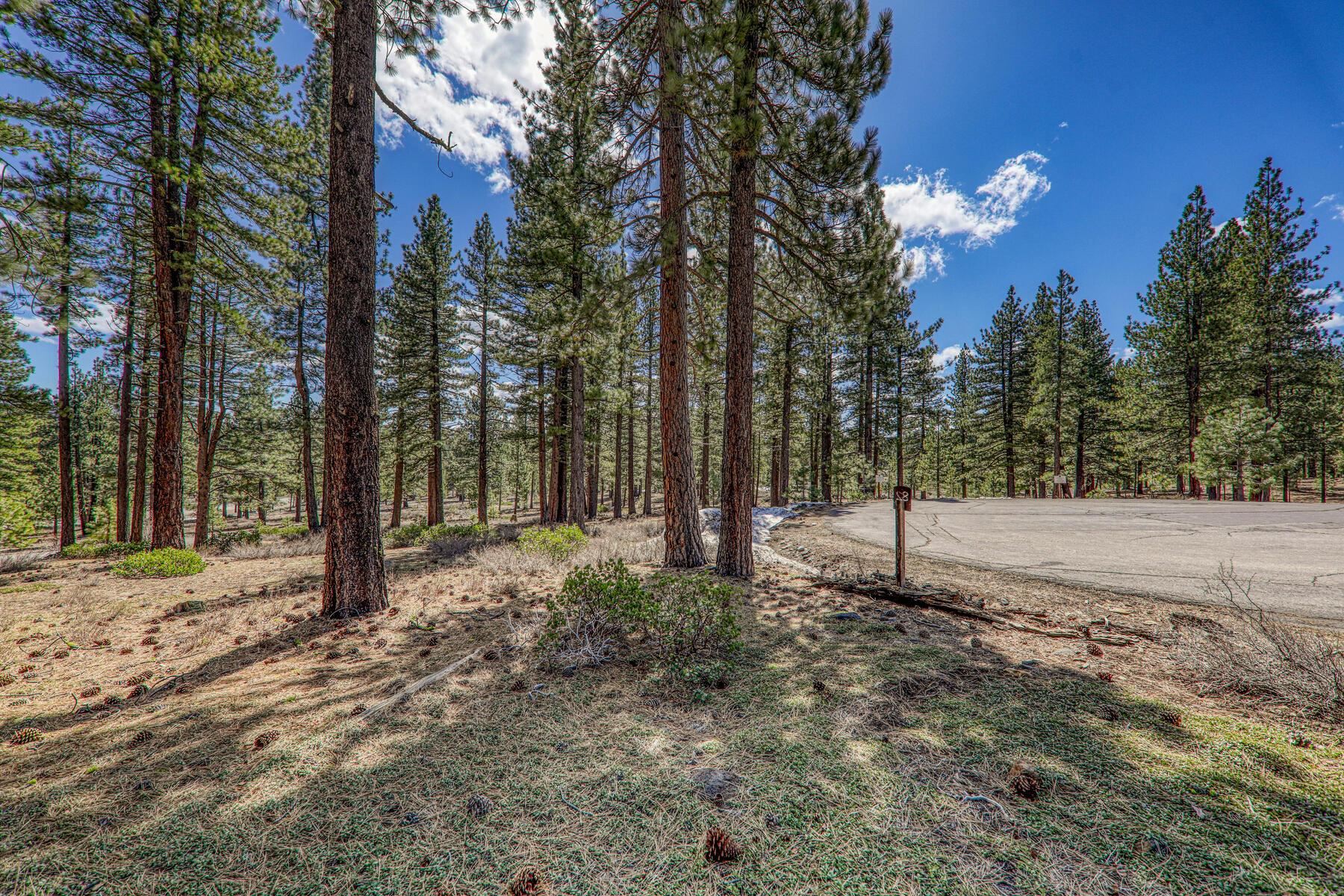 10576 Brickell Court Truckee, CA 96161 - Photo 11 of 21 a view of a yard with tree s