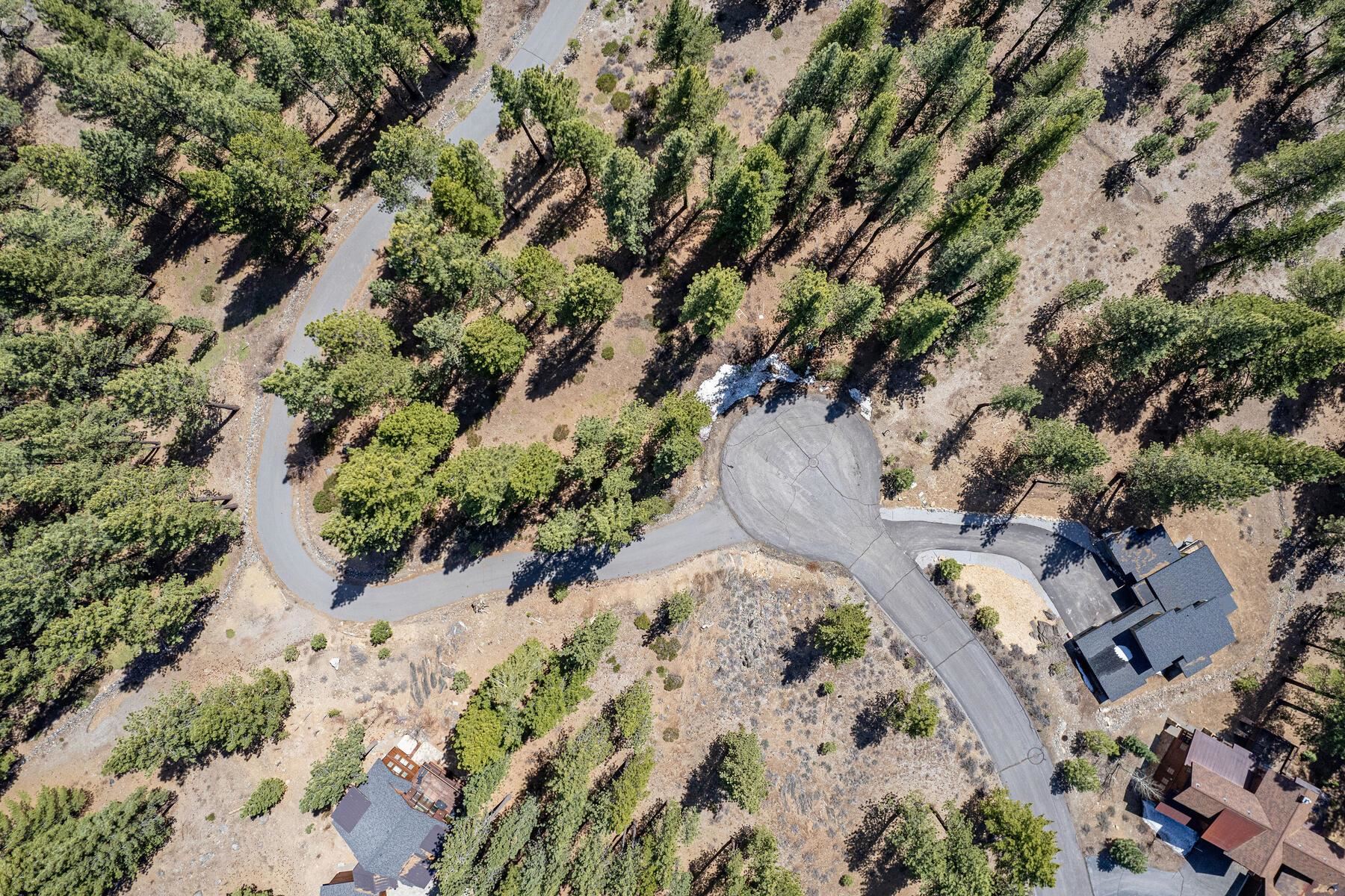 10576 Brickell Court Truckee, CA 96161 - Photo 16 of 21 a view of a plant in a yard