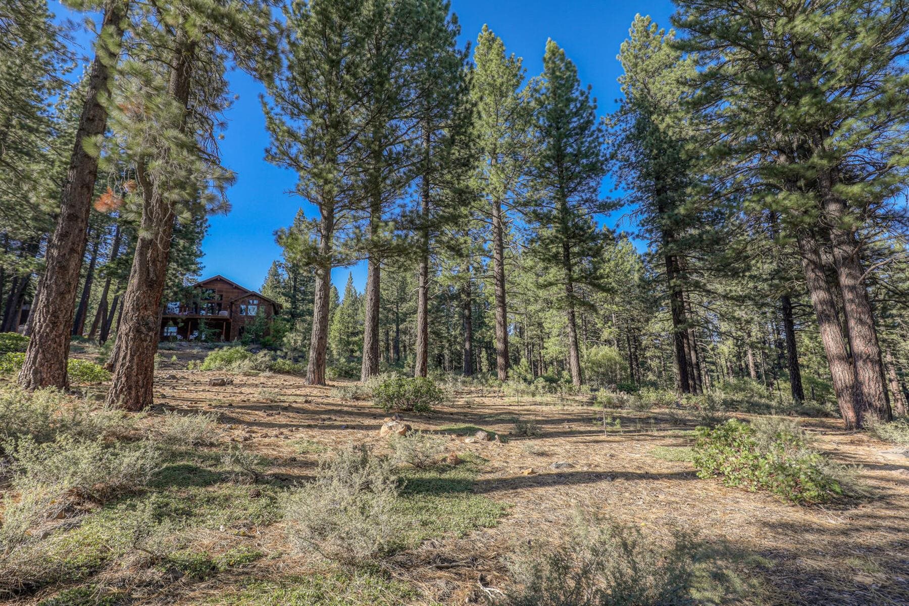 10576 Brickell Court Truckee, CA 96161 - Photo 2 of 21 a view of outdoor space with trees
