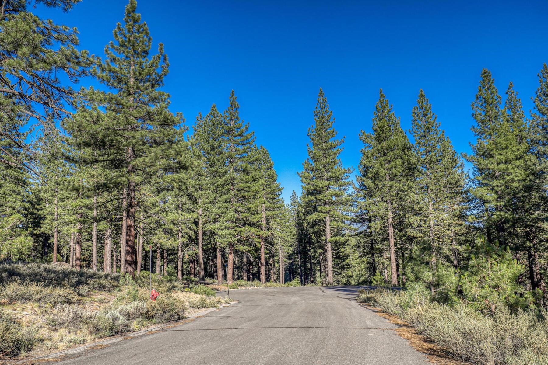 10576 Brickell Court Truckee, CA 96161 - Photo 5 of 21 a view of a pathway with a tree in the background