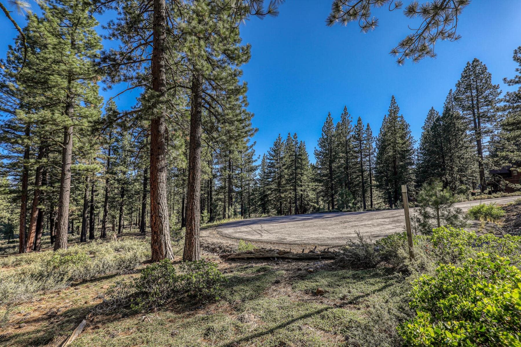 10576 Brickell Court Truckee, CA 96161 - Photo 6 of 21 a view of a yard with plants and trees