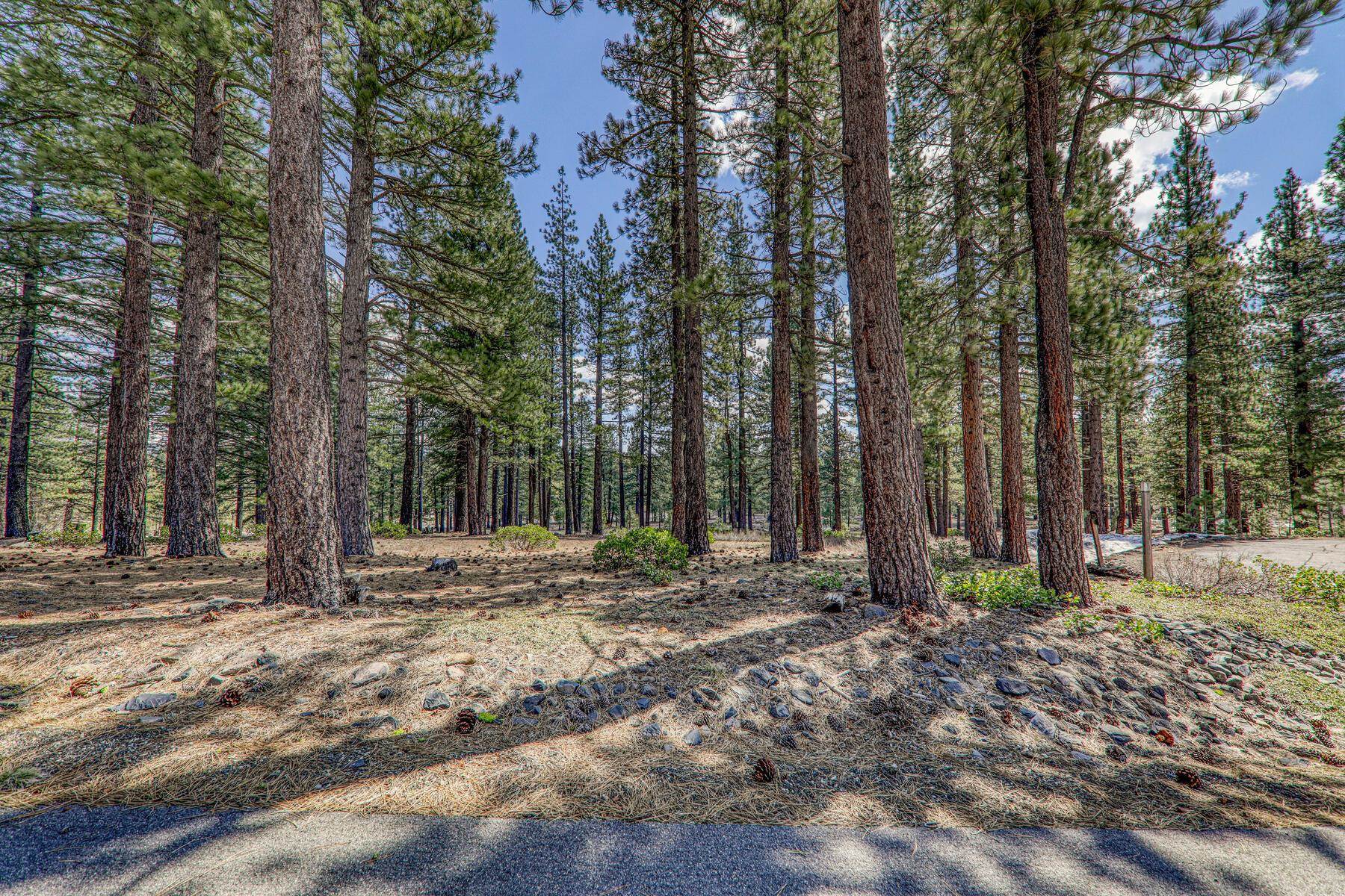 10576 Brickell Court Truckee, CA 96161 - Photo 8 of 21 a view of a backyard with trees
