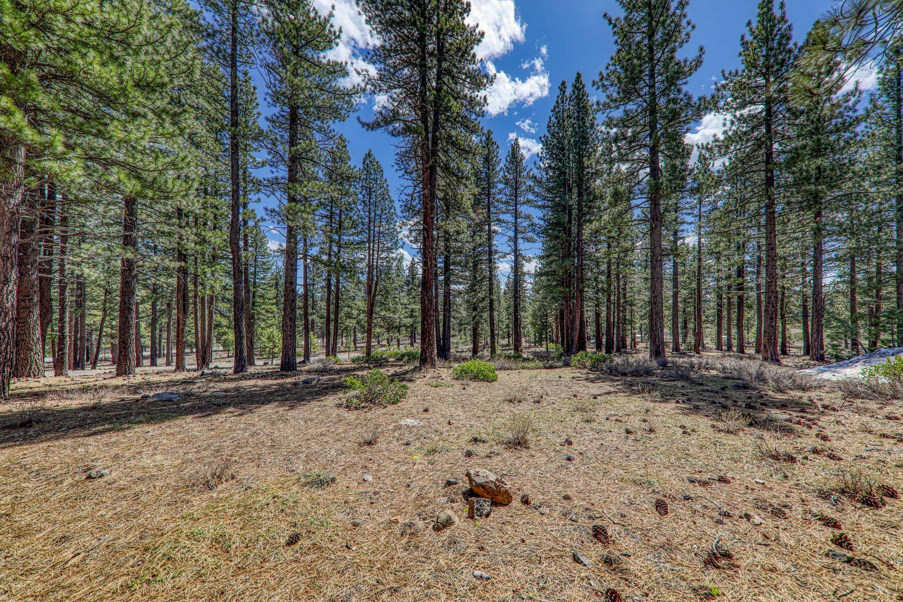 10576 Brickell Court Truckee, CA 96161 - Photo 10 of 21 a view of a house with trees in the background