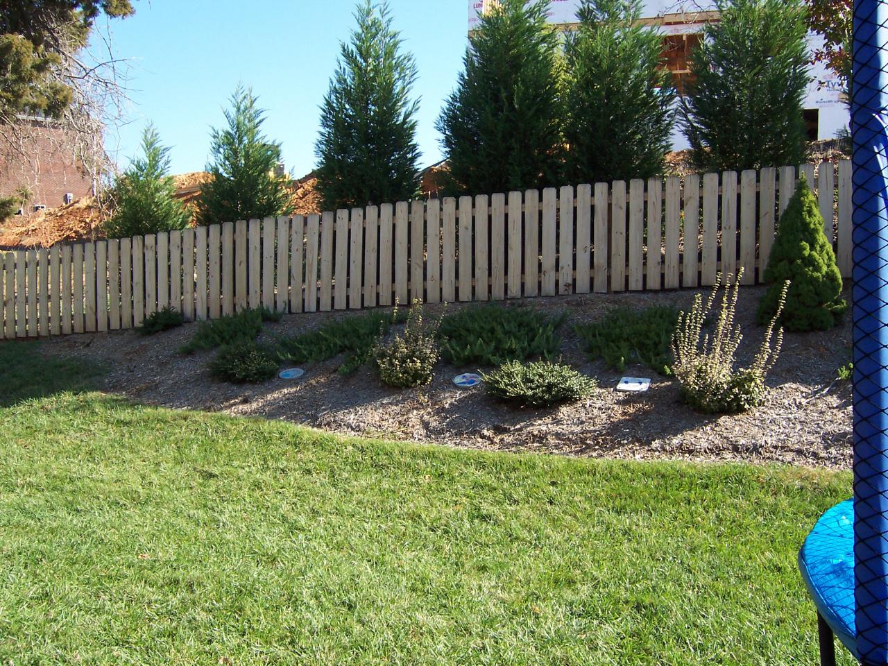 1712 Meadows Road Vinton, VA 24179 - Photo 22 of 23 a garden view