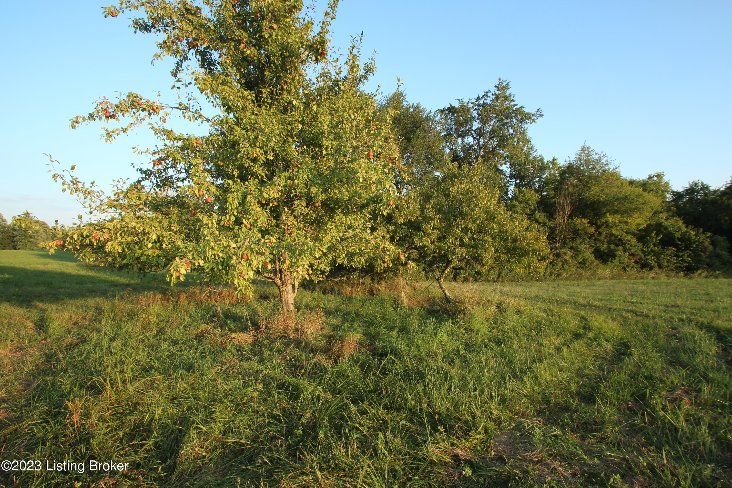 6001 Port Royal Road Turners Station, KY 40075 - Photo 24 of 56 IMG_9908