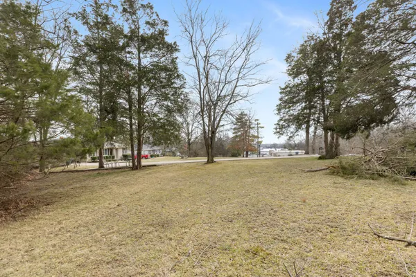 a view of a field with trees