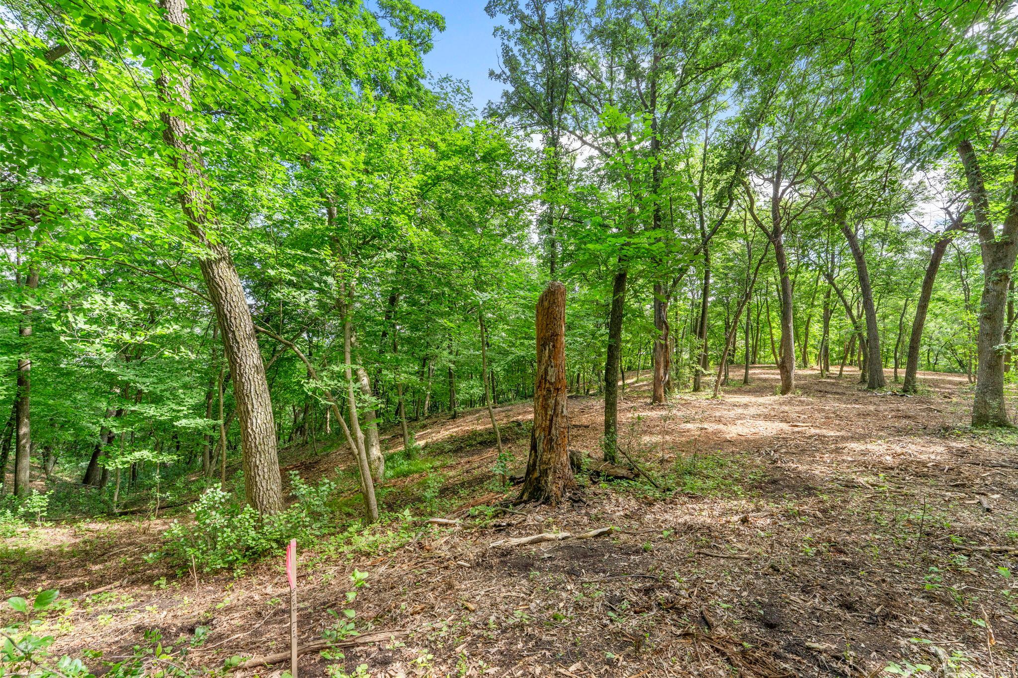 2-xx Cove Road Hudson, WI 54016 - Photo 10 of 18