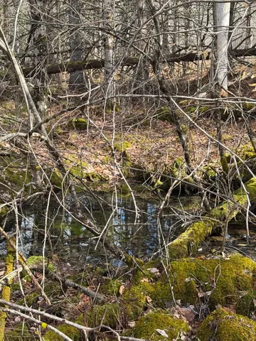 $20,900 | Garland Road, Lancaster, NH 03584