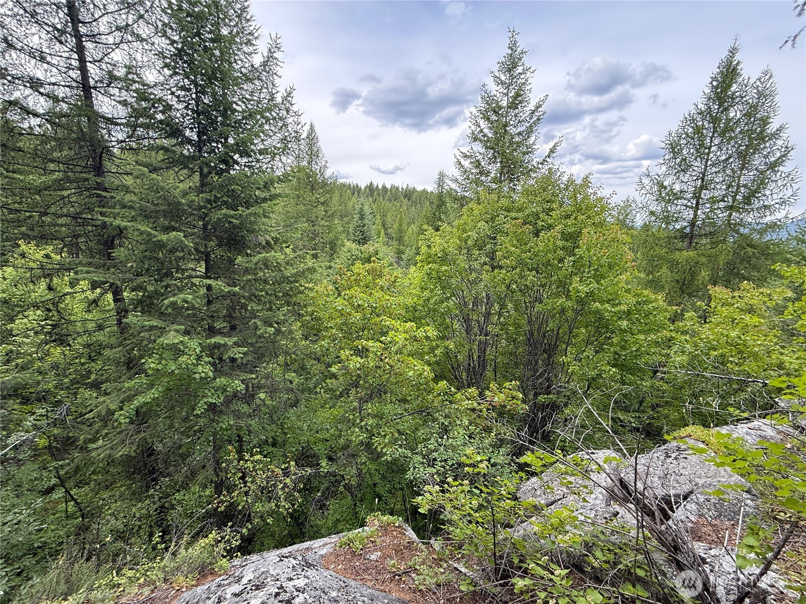 -tbd Mule Deer Road Republic, WA 99166 - Photo 8 of 11