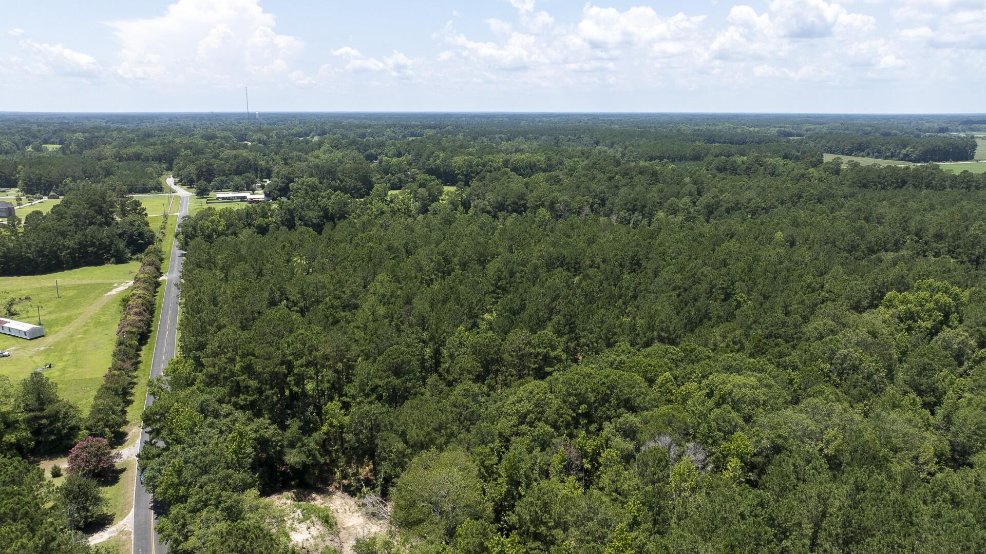0 Toney Bay Road, Unit 3 Holly Hill, SC 29059 - Photo 31 of 36 Toney Bay-31