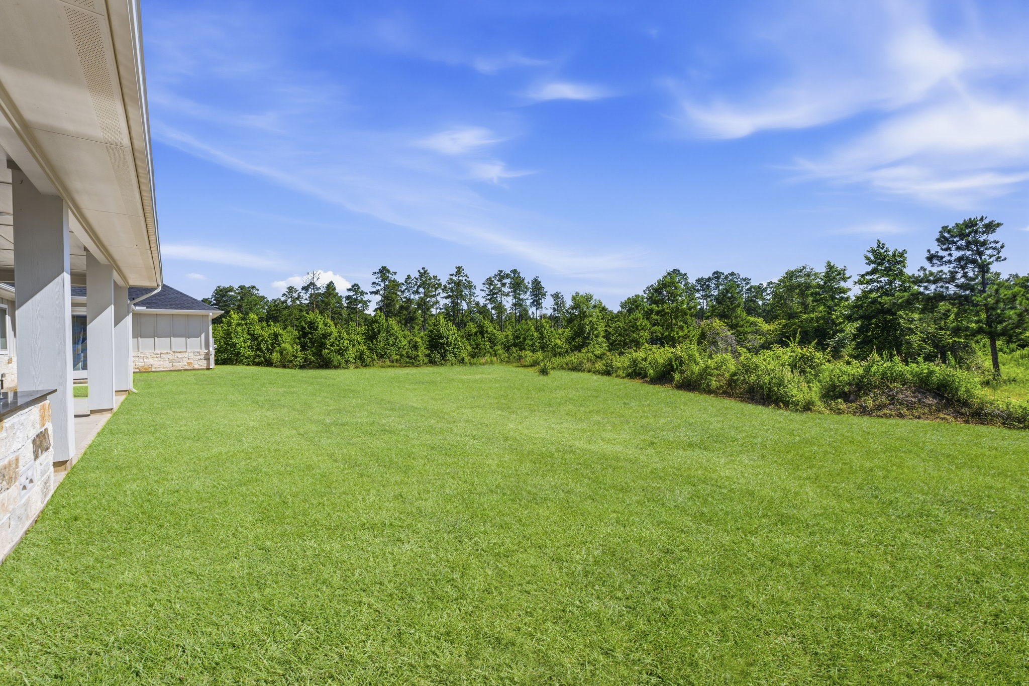 16140 Frst Ml Road Willis, TX 77378 - Photo 42 of 48 Grass is AI generated
