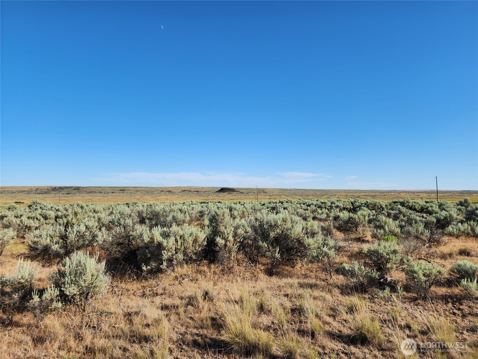 0 Crick Road North Wilbur, WA 99185 - Photo 4 of 8 Gallery Image 4