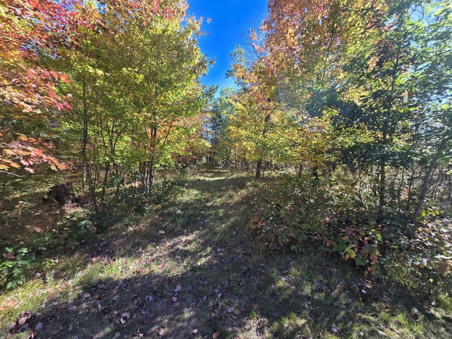 W11680 West 26th Road Pound, WI 54161 - Photo 42 of 47 Gallery Image 42