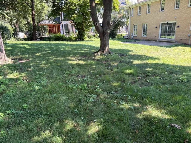 a view of swimming pool with a yard