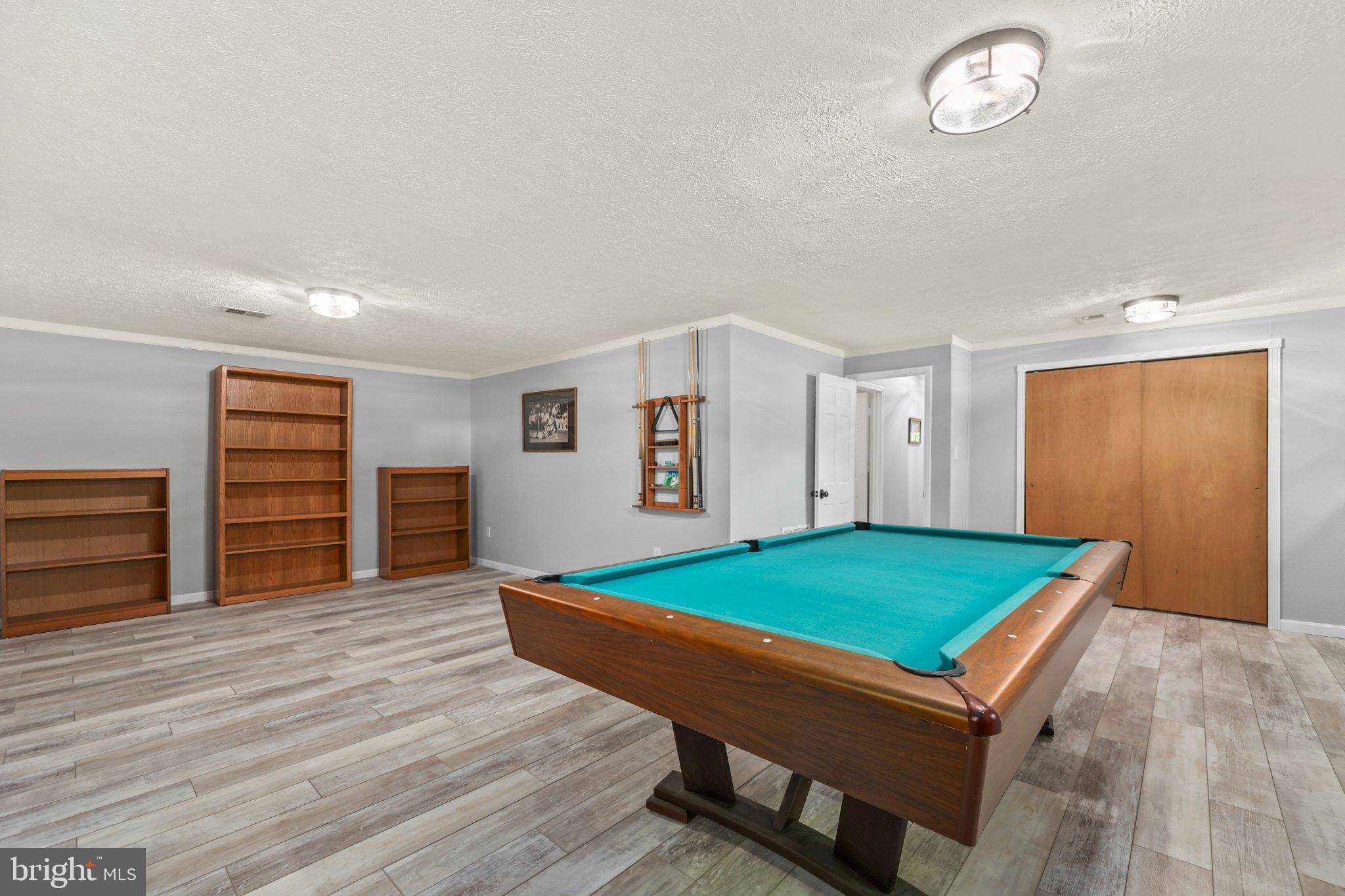 7357 Auburn Mill Road Warrenton, VA 20187 - Photo 23 of 35 Spacious game room with vibrant pool table.