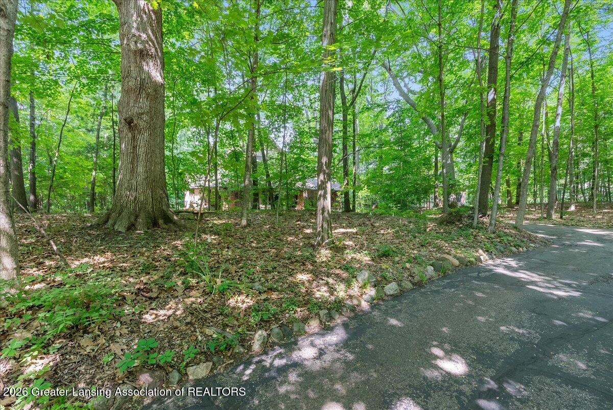4279 Shadow Ridge Okemos, MI 48864 - Photo 3 of 57 03-Media Jett - 01 (new)