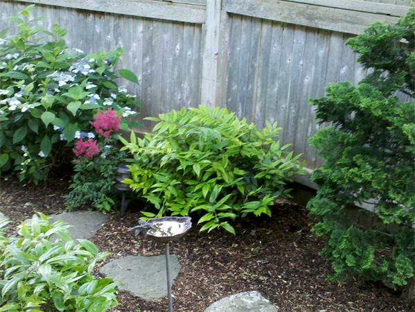 68 Pickwick Way, Unit 68 Wayland, MA 01778 - Photo 13 of 15 a view of a backyard with plants