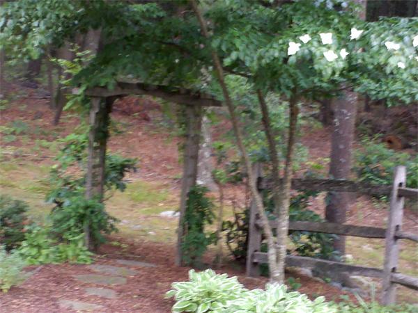 68 Pickwick Way, Unit 68 Wayland, MA 01778 - Photo 15 of 15 a backyard of a house with lots of green space