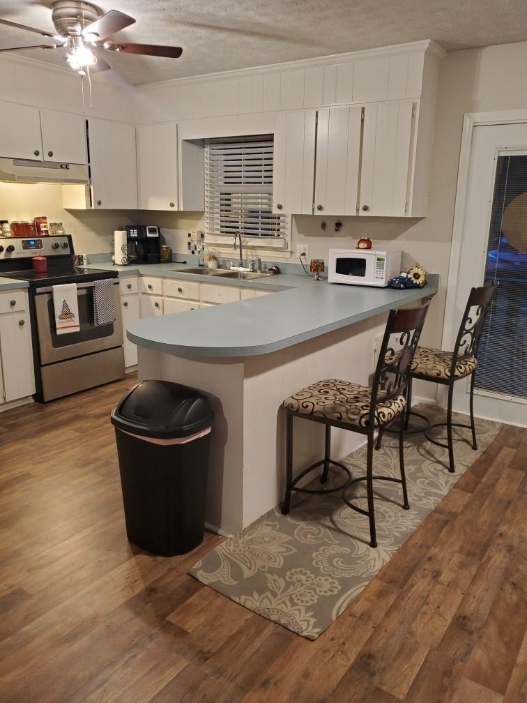 1105 Hanford Drive Rockingham, NC 28379 - Photo 3 of 8 bar