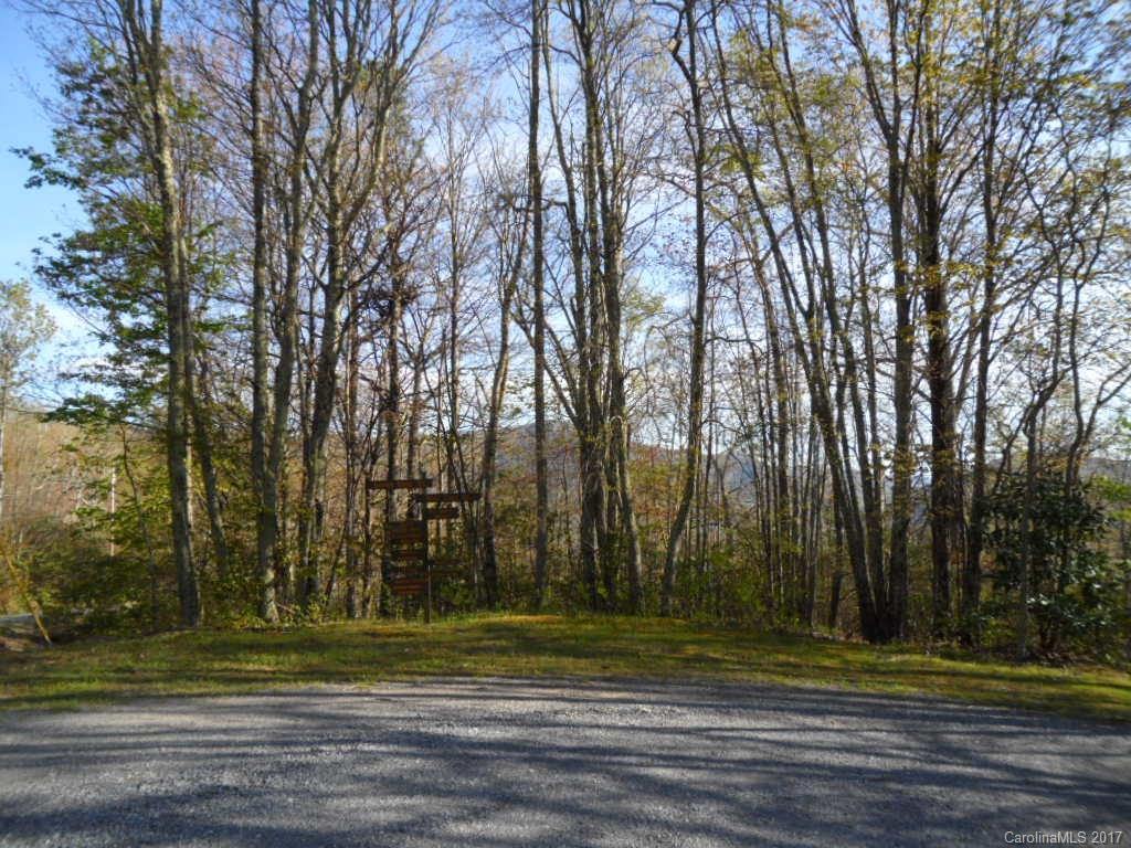 3.1-acres On Brown Ridge Road Maggie Valley, NC 28751 - Photo 1 of 21