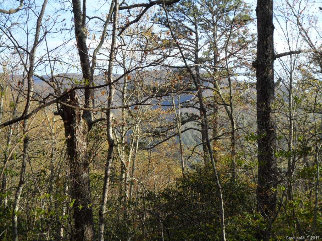 3.1-acres On Brown Ridge Road Maggie Valley, NC 28751 - Photo 2 of 21