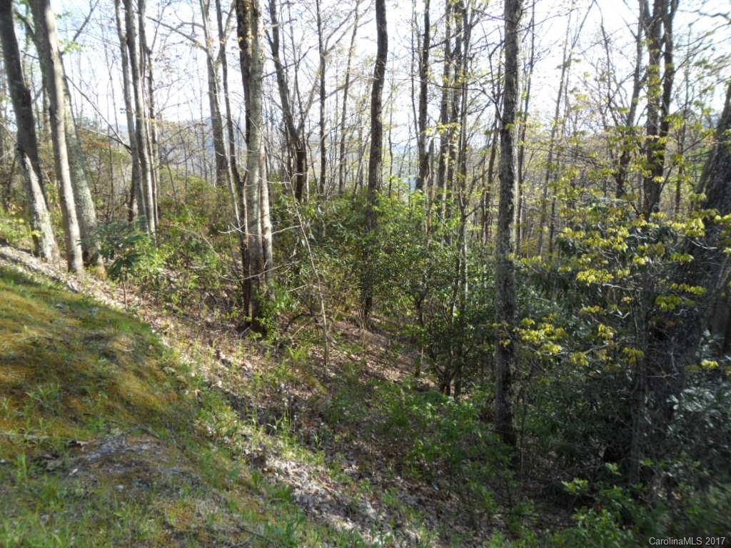 3.1-acres On Brown Ridge Road Maggie Valley, NC 28751 - Photo 11 of 21
