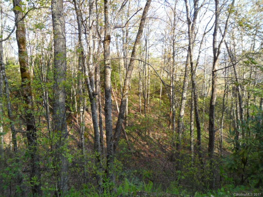 3.1-acres On Brown Ridge Road Maggie Valley, NC 28751 - Photo 12 of 21
