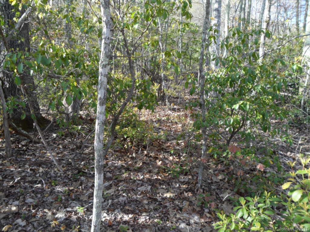 3.1-acres On Brown Ridge Road Maggie Valley, NC 28751 - Photo 13 of 21