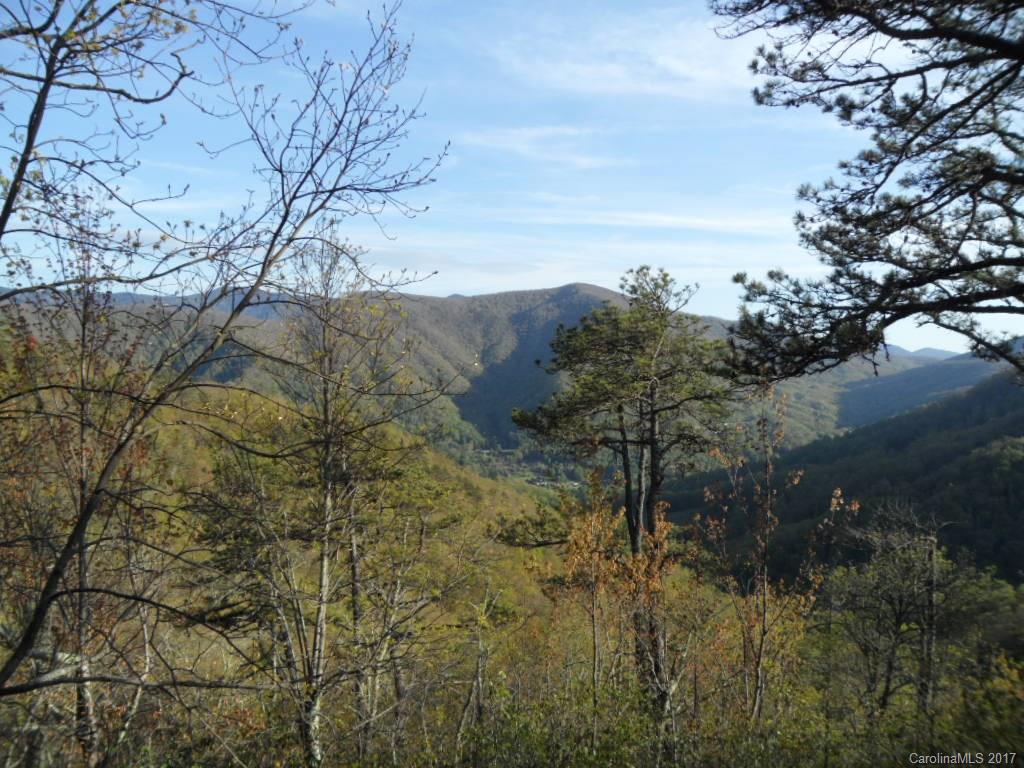 3.1-acres On Brown Ridge Road Maggie Valley, NC 28751 - Photo 14 of 21