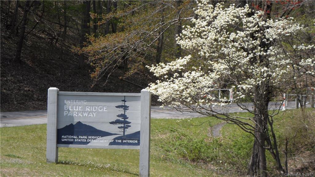 3.1-acres On Brown Ridge Road Maggie Valley, NC 28751 - Photo 18 of 21
