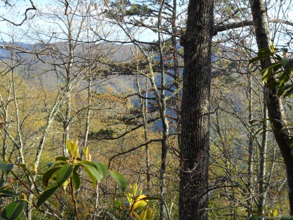 3.1-acres On Brown Ridge Road Maggie Valley, NC 28751 - Photo 3 of 21