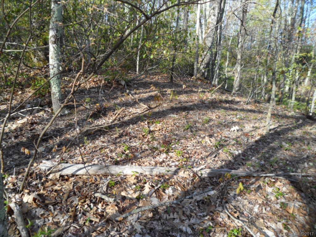 3.1-acres On Brown Ridge Road Maggie Valley, NC 28751 - Photo 5 of 21