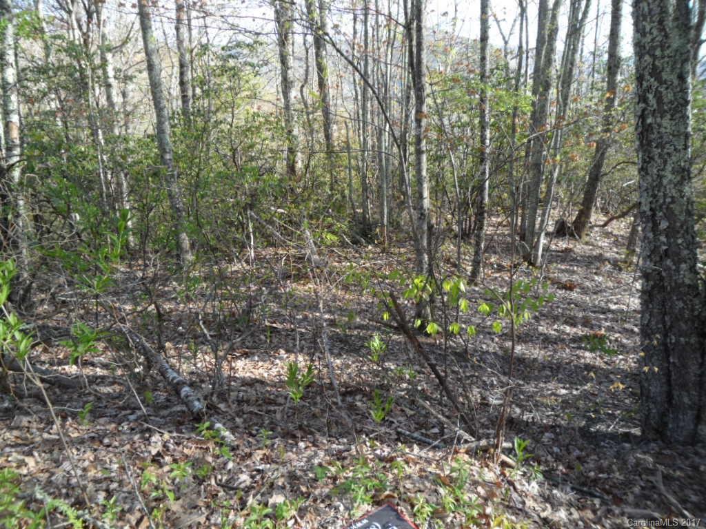3.1-acres On Brown Ridge Road Maggie Valley, NC 28751 - Photo 6 of 21